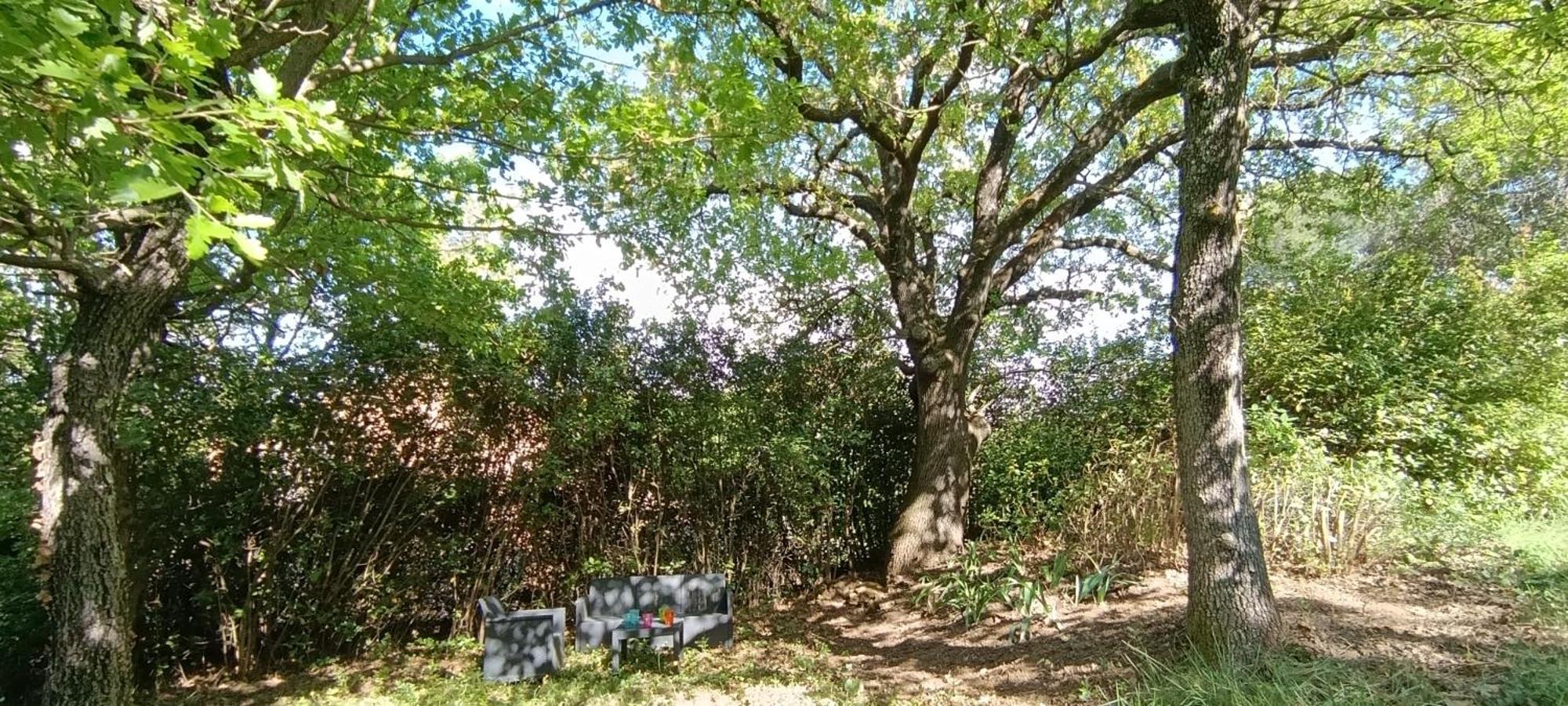 Les Lilas Des Chenes Piolenc Екстер'єр фото